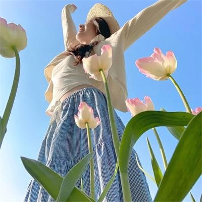 屌飞船奇遇记