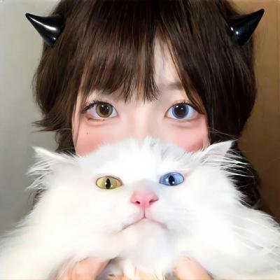 完美世界